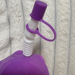 ラプンツェルドリンクボトルの画像
