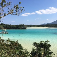 草刈り〜　何でも