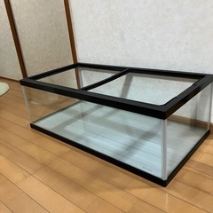 90cmランチュウ水槽の画像