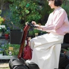 シニアカー　バッテリー充電式の画像
