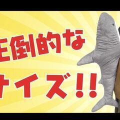 GIGA  シャーク　グレーの画像