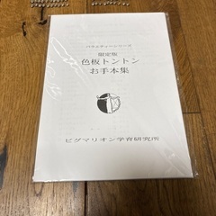 色板トントン　2セット　知育玩具の画像