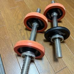 トレーニングベンチとプレートいくつ　の画像