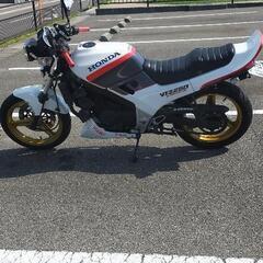 実働 VTZ250の画像
