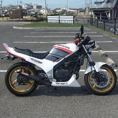 実働 VTZ250の画像