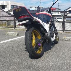 実働 VTZ250の画像