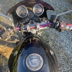 バンディット250 中古車体実働
の画像