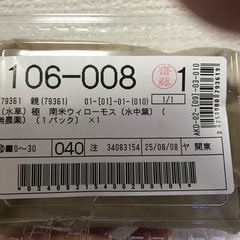 （水草）極　南米ウィローモス（水中葉）（無農薬）（１パック）の画像