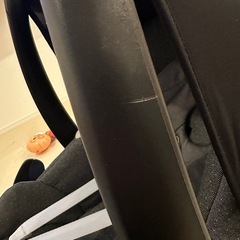 マキシコシの画像