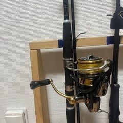 ダイワ　ラテオ　レガリスセット売りの画像