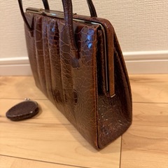 お蔵の整理中　バック（カメ）の画像