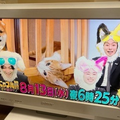 SONY テレビ　ブラビアBRAVIA ホワイト/白色の画像