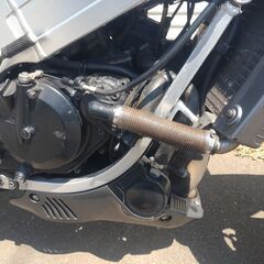 引取りできる方の画像