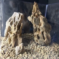 【完売】001 気孔石 レイアウトセット（気孔石のみ）の画像