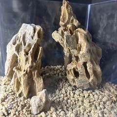 【完売】001 気孔石 レイアウトセット（気孔石のみ）の画像