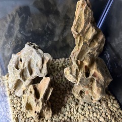 【完売】001 気孔石 レイアウトセット（気孔石のみ）の画像