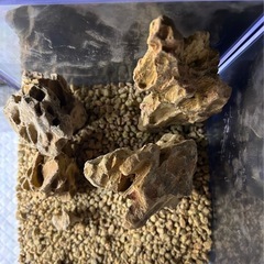 【完売】001 気孔石 レイアウトセット（気孔石のみ）の画像