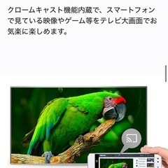 ⭐️極美品⭐️2024年10月新品購入 4K 55インチ Google搭載 テレビ　空間オーディオ対応の画像