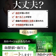【2袋】カロバーンα 健常な方の高めの空腹時血糖値を下げる サプリ の画像