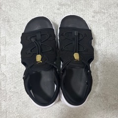 ナイキ　エアマックスココの画像