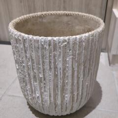 鉢植え　おしゃれ　室内使いでしたの画像