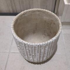 鉢植え　おしゃれ　室内使いでしたの画像