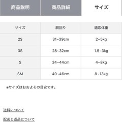 犬用　ハーネス　BEAMS　の画像