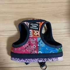 犬用　ハーネス　BEAMS　の画像