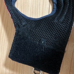 犬用　ハーネス　BEAMS　の画像