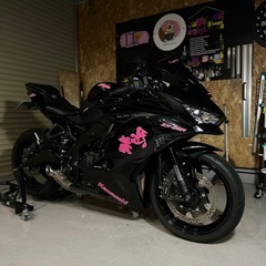 Kawasaki Ninja ZX-25Rの画像