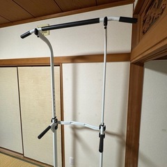 ぶらさがりけんぶら下がり健康器の画像
