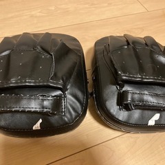 ISAMI パンチングミットの画像