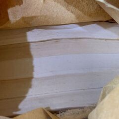 詳細不明　家庭保管品　現状販売　書道用紙？　大東箋 四号　書道？　書道具？　水墨画？　半紙？の画像