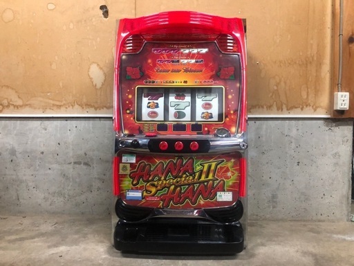 スペシャルハナハナⅡ-30