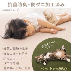 アイリス　カーペット　ラグ　130×185cmの画像