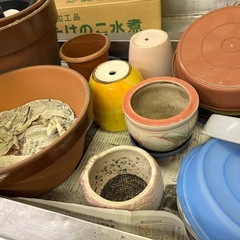 お話中）植木鉢、ほかその2の画像