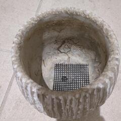 鉢植え　おしゃれ　かわいい　陶器　室内使いでしたの画像