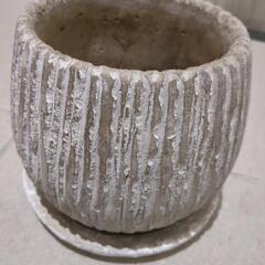 鉢植え　おしゃれ　かわいい　陶器　室内使いでしたの画像