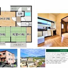 🎵初期費用無料🎵川西市 2LDK 40平米🎵ペット可　大型犬　事...