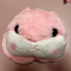 【格安】可愛いものセットの画像