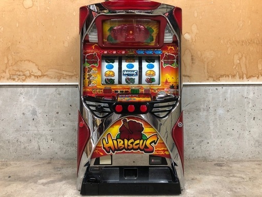 ハイビスカス ジャンク品