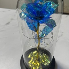 バラのガラスドームの画像
