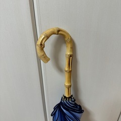 keyuca❗️晴雨兼用傘 水色の画像