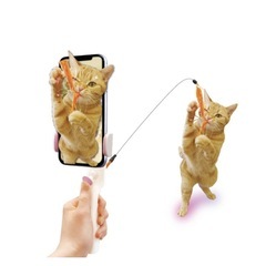 ３、猫ちゃん用の画像