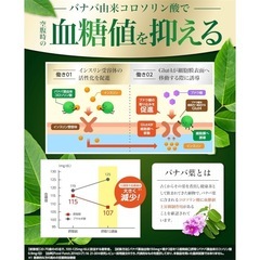 新品未開封♥血糖値・血圧を下げるサポートをするサプリメント（30日分）の画像