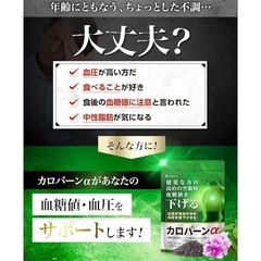 新品未開封♥血糖値・血圧を下げるサポートをするサプリメント（30日分）の画像