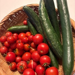 野菜