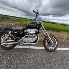 ハーレーダビッドソン　xl1200s 1998の画像