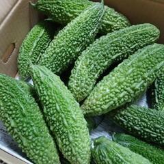 ゴーヤー3本🥒🥒🥒250円‼️の画像