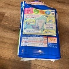 小型犬用マナーウエア　男の子用の画像
